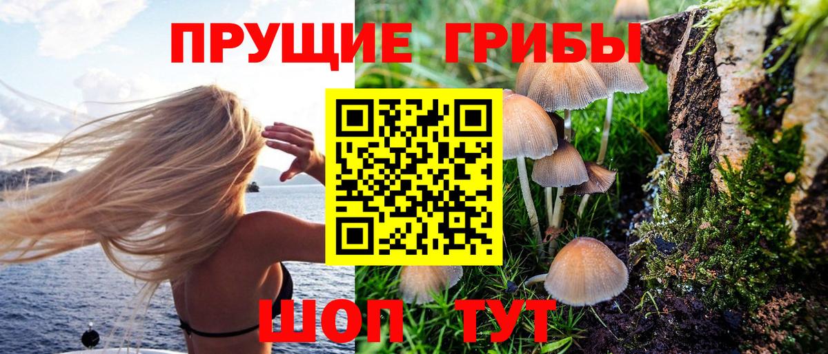 Галлюциногенные грибы Psilocybine cubensis  Галлюциногенные грибы Psilocybine cubensis  Вход с VPN  Волжский 